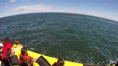 Escalofriante momento en que una gigante ballena casi 'se traga' un bote lleno de turistas